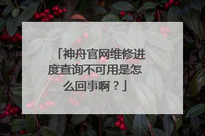 神舟官网维修进度查询不可用是怎么回事啊?