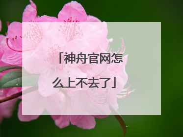 神舟官网怎么上不去了