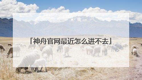 神舟官网最近怎么进不去