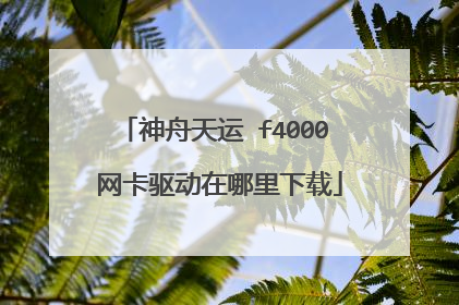 神舟天运 f4000 网卡驱动在哪里下载