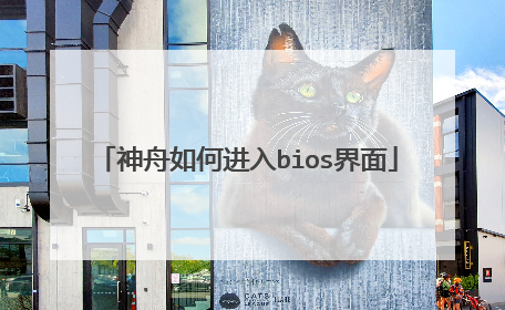 神舟如何进入bios界面