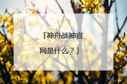 神舟战神官网是什么?