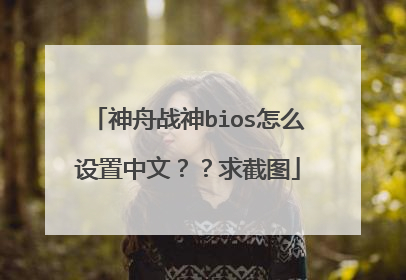 神舟战神bios怎么设置中文??求截图