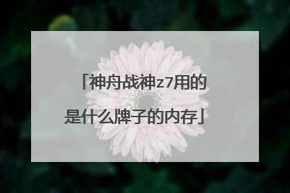 神舟战神z7用的是什么牌子的内存