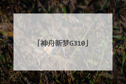 神舟新梦G310