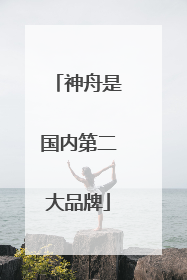 神舟是国内第二大品牌