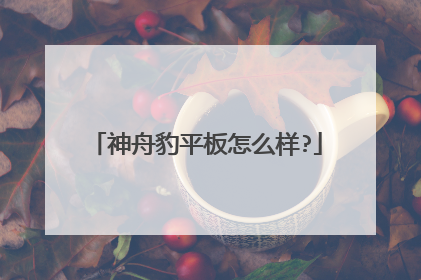 神舟豹平板怎么样?