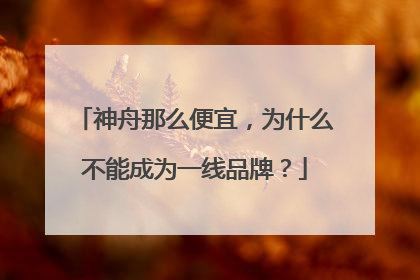 神舟那么便宜，为什么不能成为一线品牌？