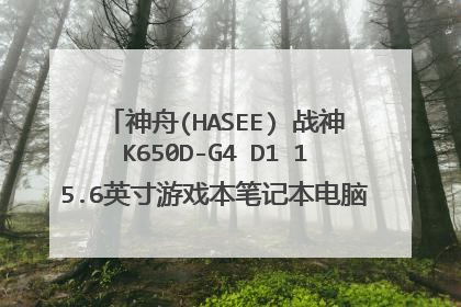 神舟(HASEE) 战神K650D-G4 D1 15.6英寸游戏本笔记本电脑(G4400 4G 5