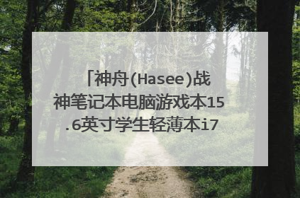 神舟(Hasee)战神笔记本电脑游戏本15.6英寸学生轻薄本i7-7700发售时间