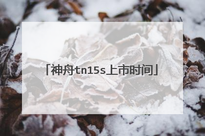 神舟tn15s上市时间