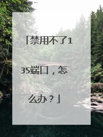 禁用不了135端口,怎么办?