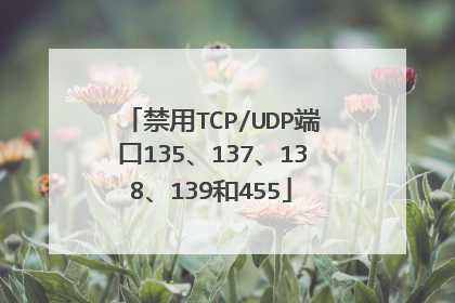 禁用TCP/UDP端口135、137、138、139和455