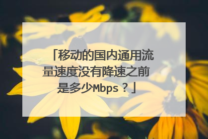 移动的国内通用流量速度没有降速之前是多少Mbps?