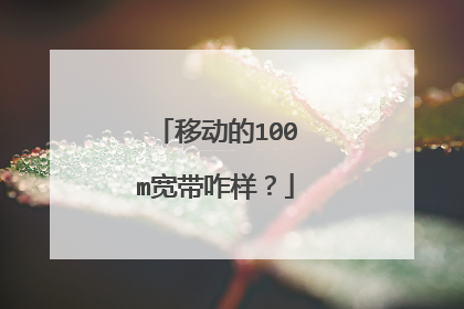 移动的100m宽带咋样?