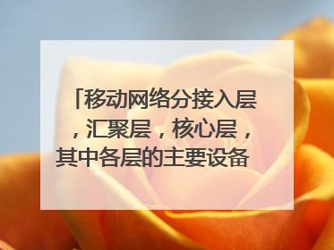 移动网络分接入层，汇聚层，核心层，其中各层的主要设备是什么啊？