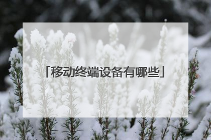 移动终端设备有哪些