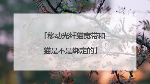 移动光纤猫宽带和猫是不是绑定的