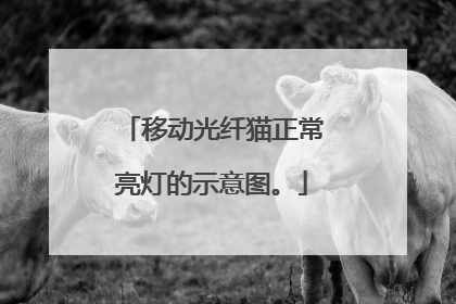 移动光纤猫正常亮灯的示意图。