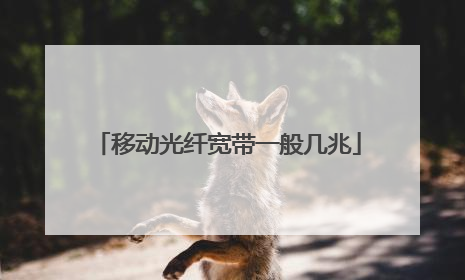 移动光纤宽带一般几兆