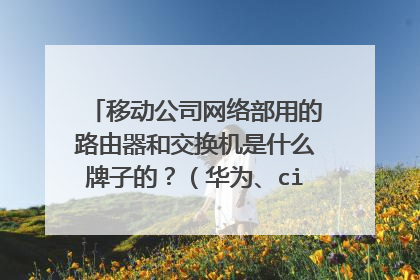 移动公司网络部用的路由器和交换机是什么牌子的？（华为、cisco、中兴？？）