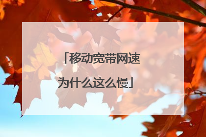 移动宽带网速为什么这么慢