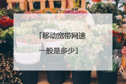 移动宽带网速一般是多少