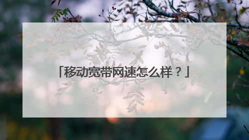移动宽带网速怎么样？