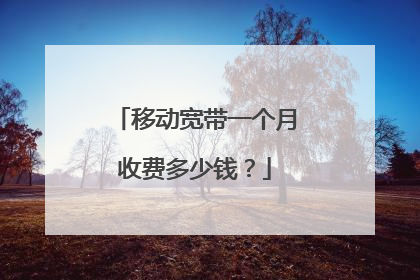 移动宽带一个月收费多少钱？