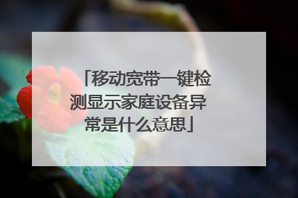 移动宽带一键检测显示家庭设备异常是什么意思