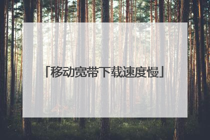 移动宽带下载速度慢