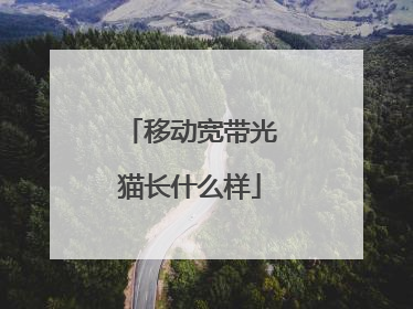 移动宽带光猫长什么样