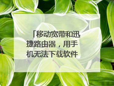 移动宽带和迅捷路由器，用手机无法下载软件，总是提示 安装失败，解
