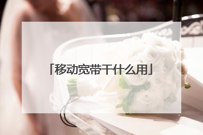 移动宽带干什么用