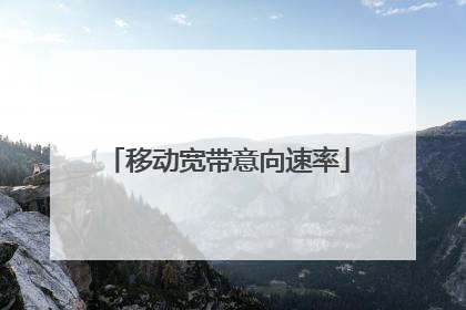 移动宽带意向速率