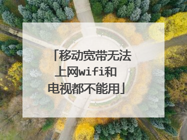 移动宽带无法上网wifi和电视都不能用