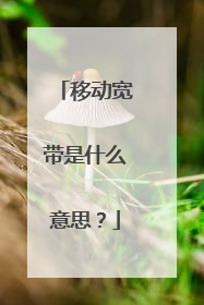 移动宽带是什么意思?