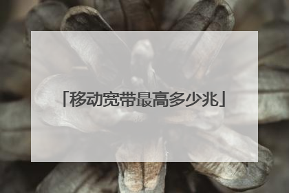 移动宽带最高多少兆