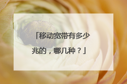 移动宽带有多少兆的,哪几种?