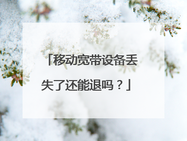 移动宽带设备丢失了还能退吗?