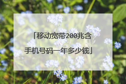 移动宽带200兆含手机号码一年多少钱