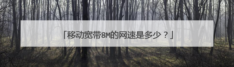 移动宽带8M的网速是多少？