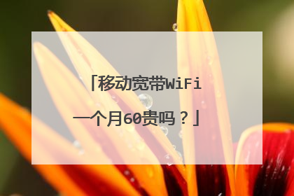移动宽带WiFi一个月60贵吗?