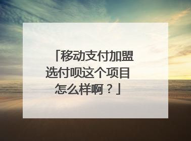 移动支付加盟选付呗这个项目怎么样啊？