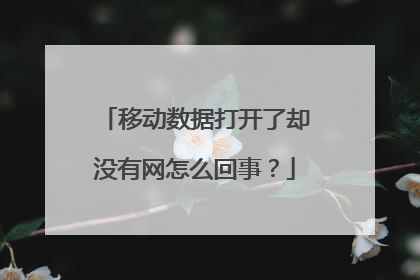 移动数据打开了却没有网怎么回事？