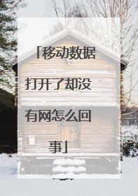移动数据打开了却没有网怎么回事
