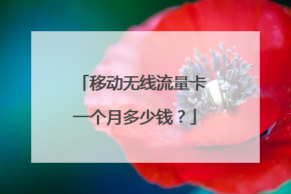 移动无线流量卡一个月多少钱？