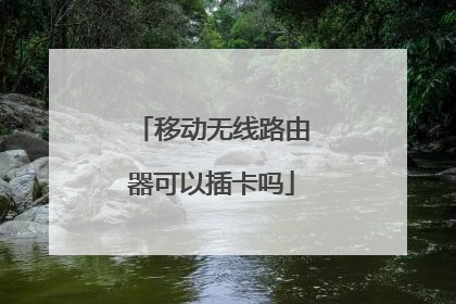 移动无线路由器可以插卡吗