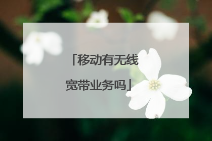 移动有无线宽带业务吗