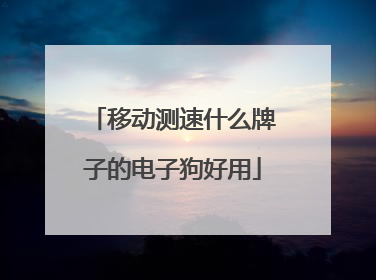 移动测速什么牌子的电子狗好用